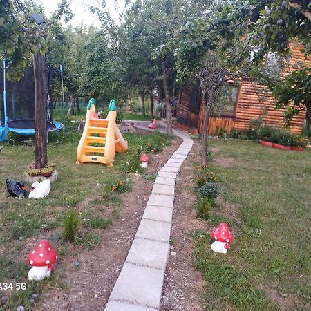 La Tataie Nucsoara Nucşoara Εξωτερικό φωτογραφία