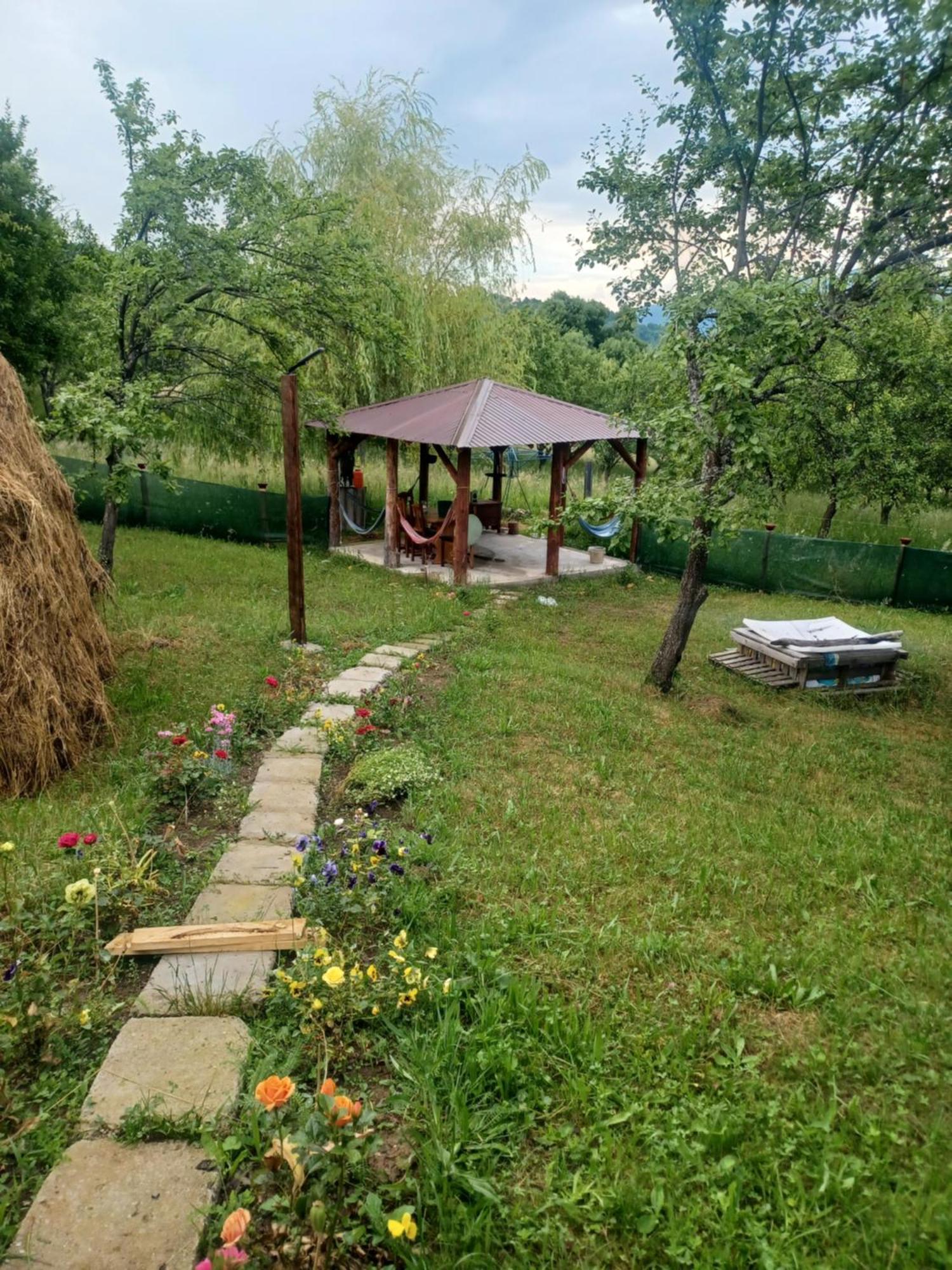 La Tataie Nucsoara Nucşoara Εξωτερικό φωτογραφία